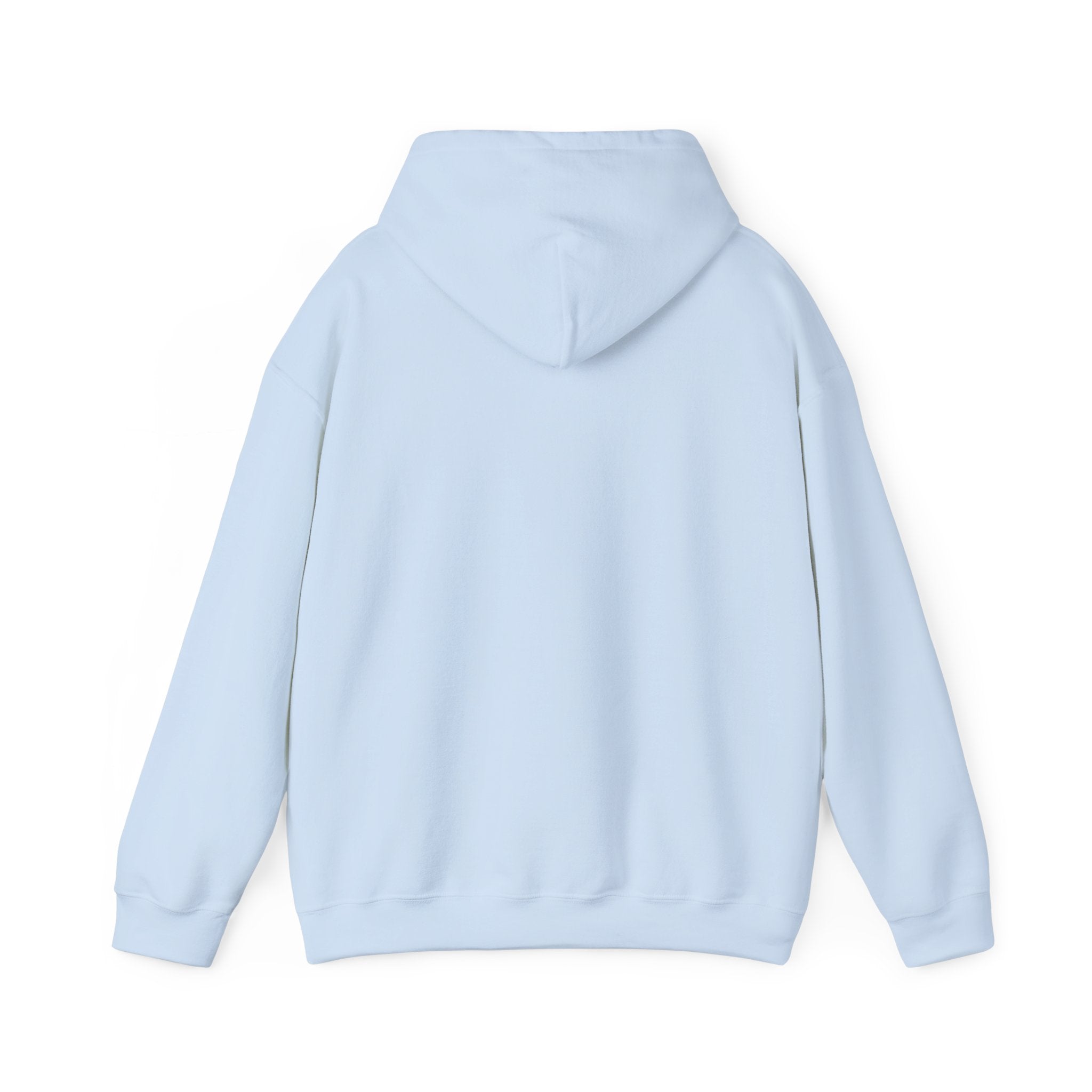 America Athletic Club Hoodie Printify